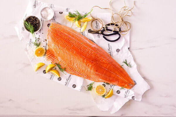 salmon