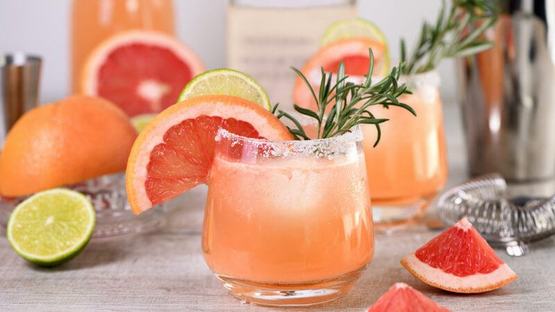 paloma