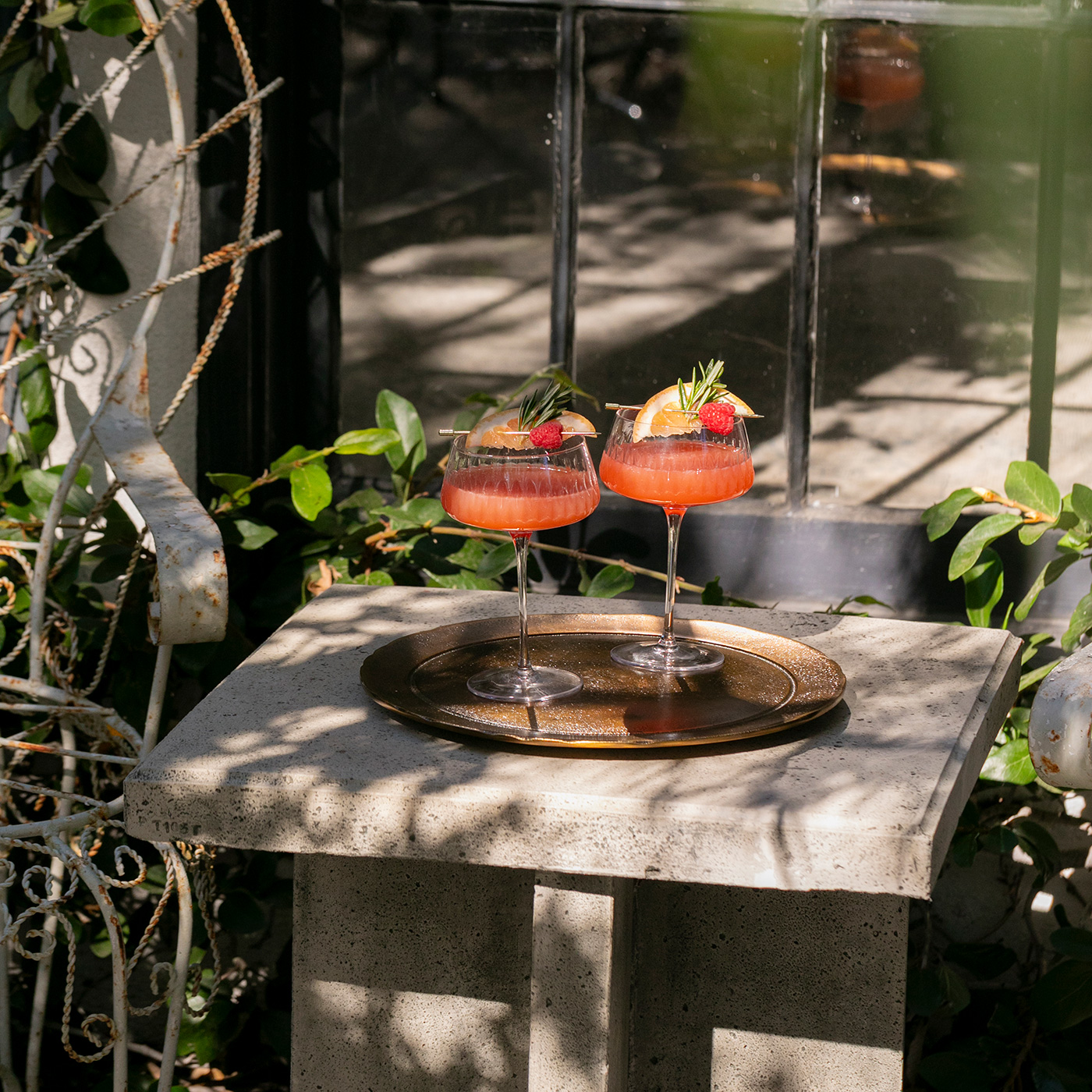 rosemary grapefruit martini